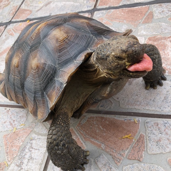 Meet your Posher, Marisa - Picture 2 of 16